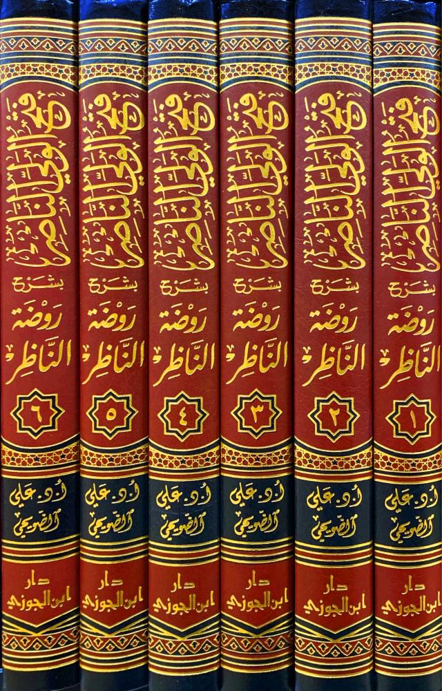 فتح الولي الناصر بشرح روضة الناظر 6/1