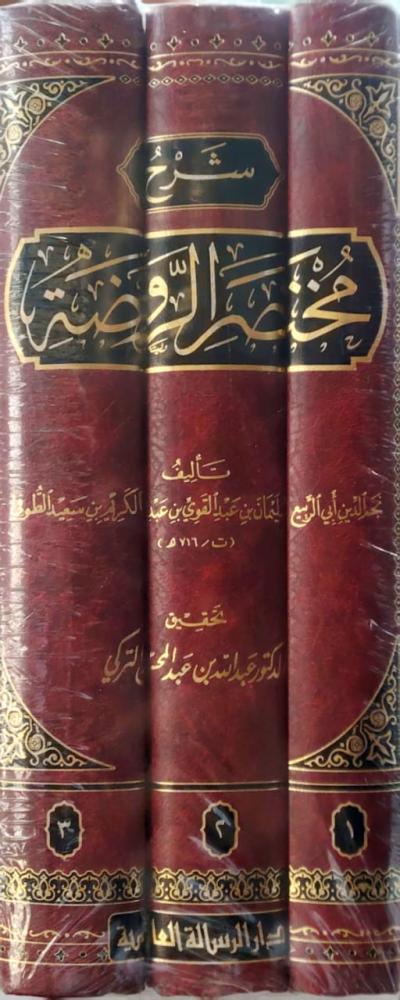 شرح مختصر الروضة  3/1