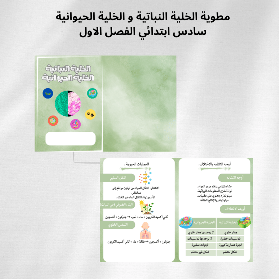 مطوية الخلية النباتية و الخلية الحيوانية سادس ابتدائي