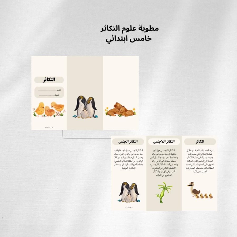 مطوية علوم التكاثر خامس ابتدائي