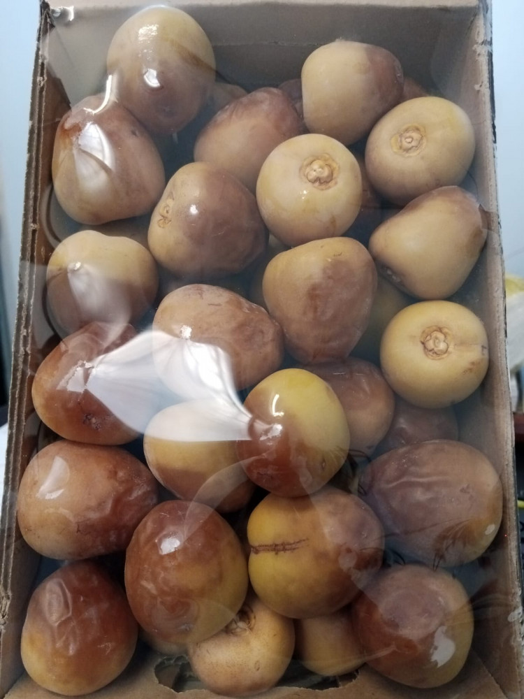 حوشانه كرتون صغير