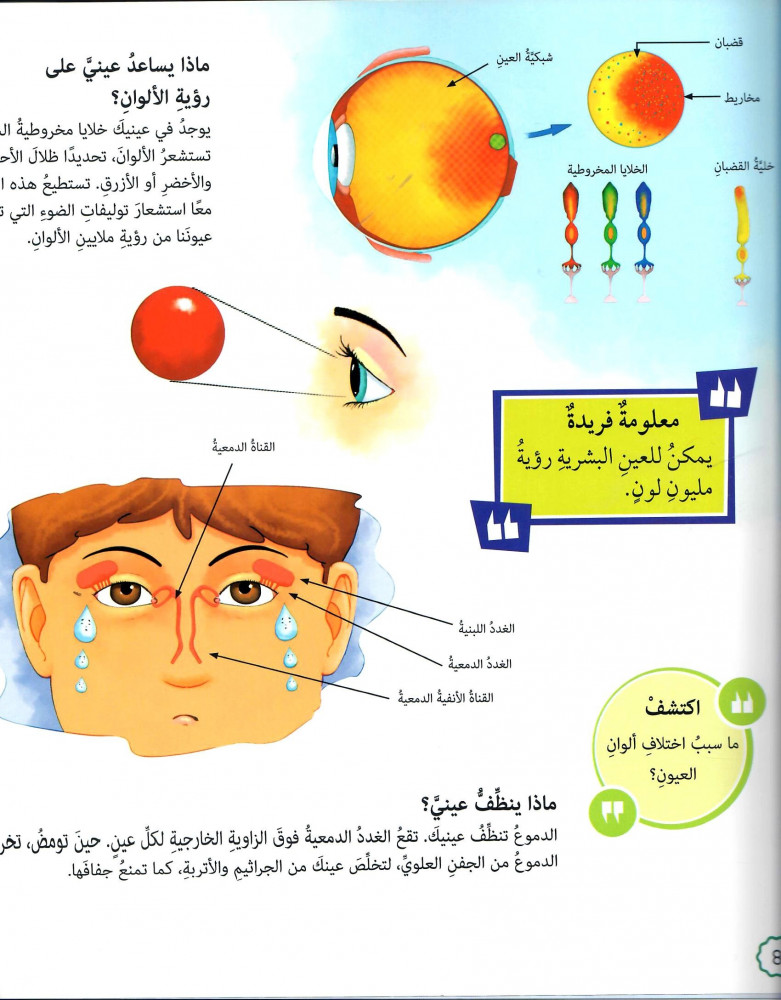 ماذا يجعل القلب يصدر أصواتاً؟