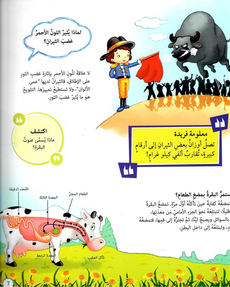 لماذا تقفز الأرانب؟