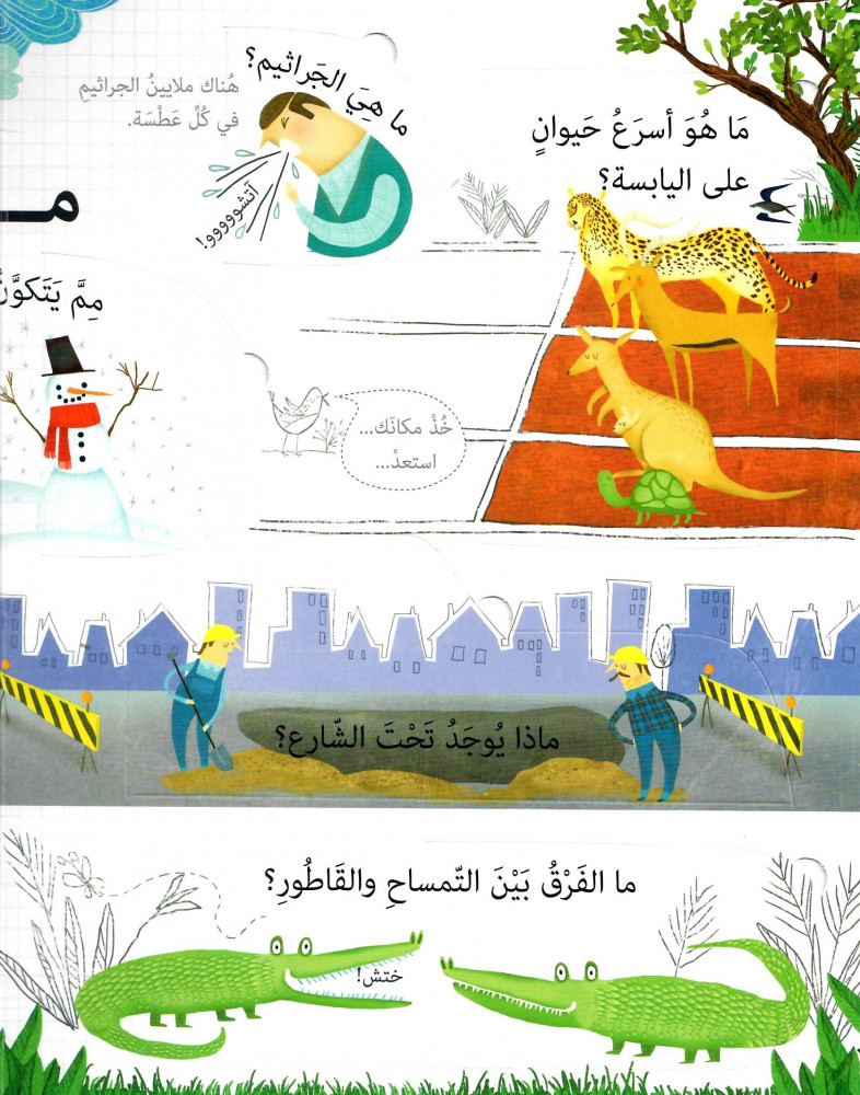 أسئلة و أجوبة مواضيع عامة