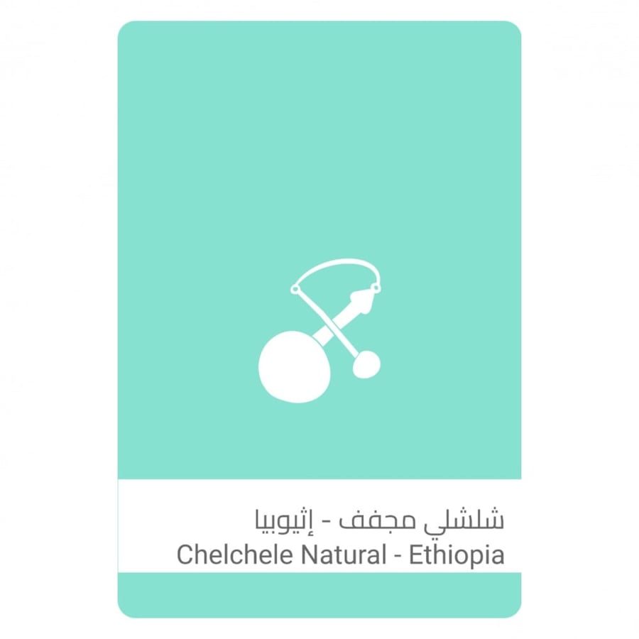 سلالات القهوة