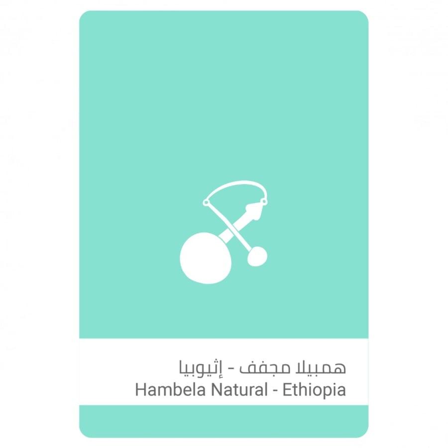 سلالات القهوة