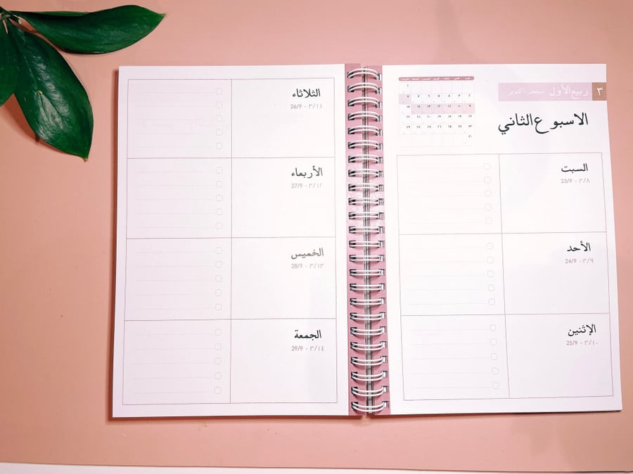 بوكس أجندة 1445