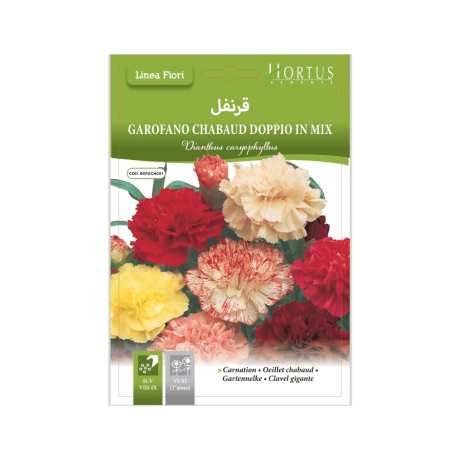 بذور زهرة القرنفل