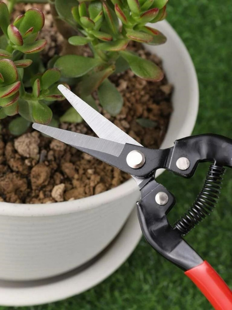 Agricultural Pruning Shears
