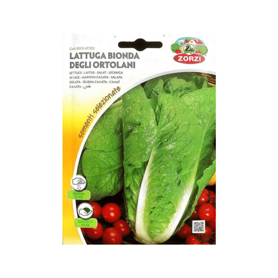 خس  Lettuce
