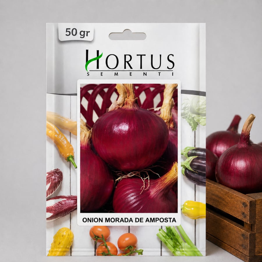 Morada de Amposta Onion Seeds