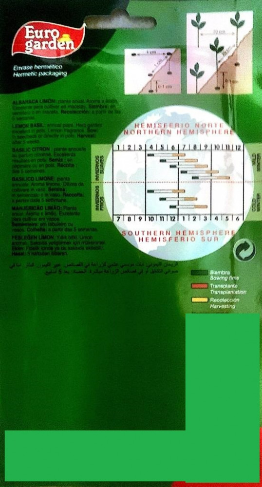 بذور الريحان الليموني