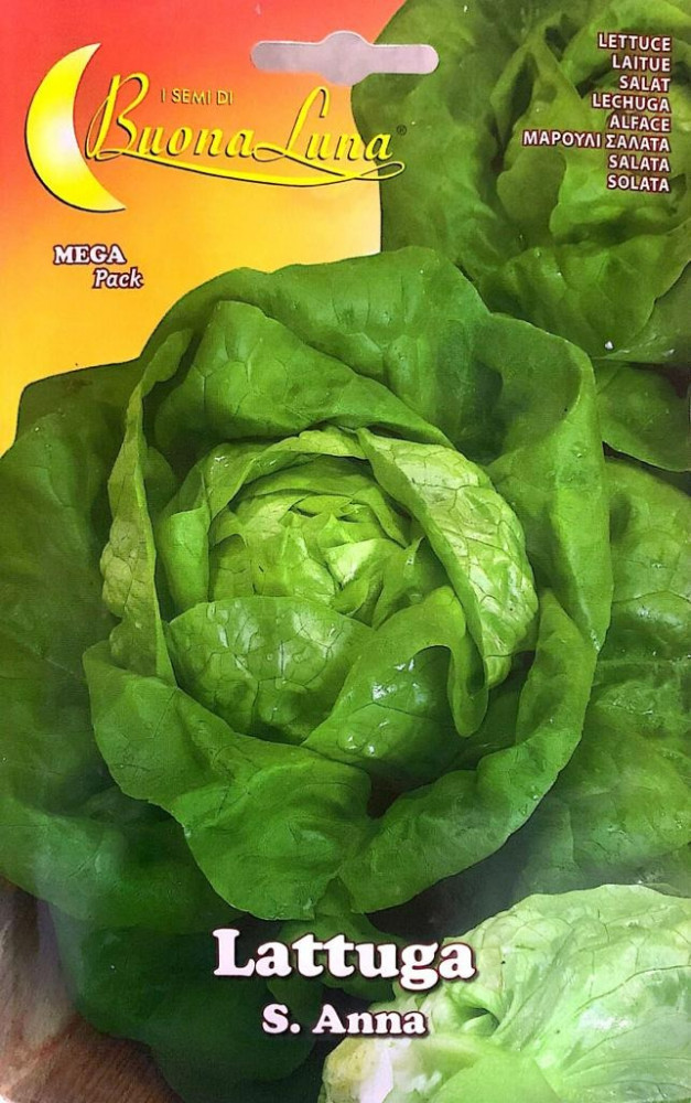 بذور خس