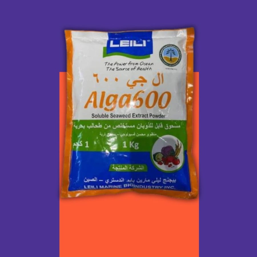 الجي 600   Alga600