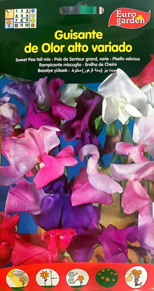 بذور سويت بيز ( بسلة الزهور ) مخلوط