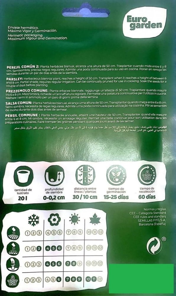 بذور البقدونس