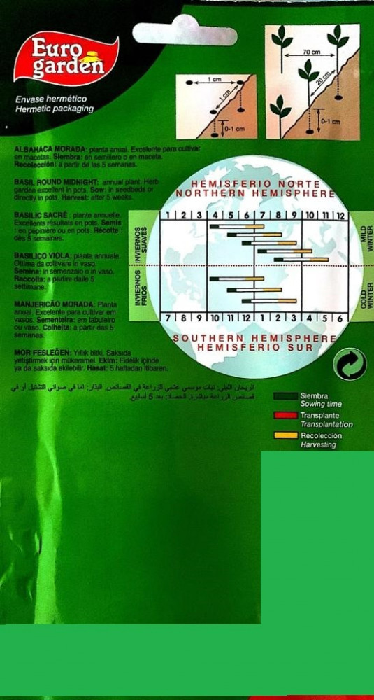 بذور الريحان الليلي