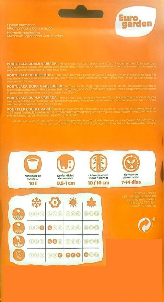 بذور البقلة