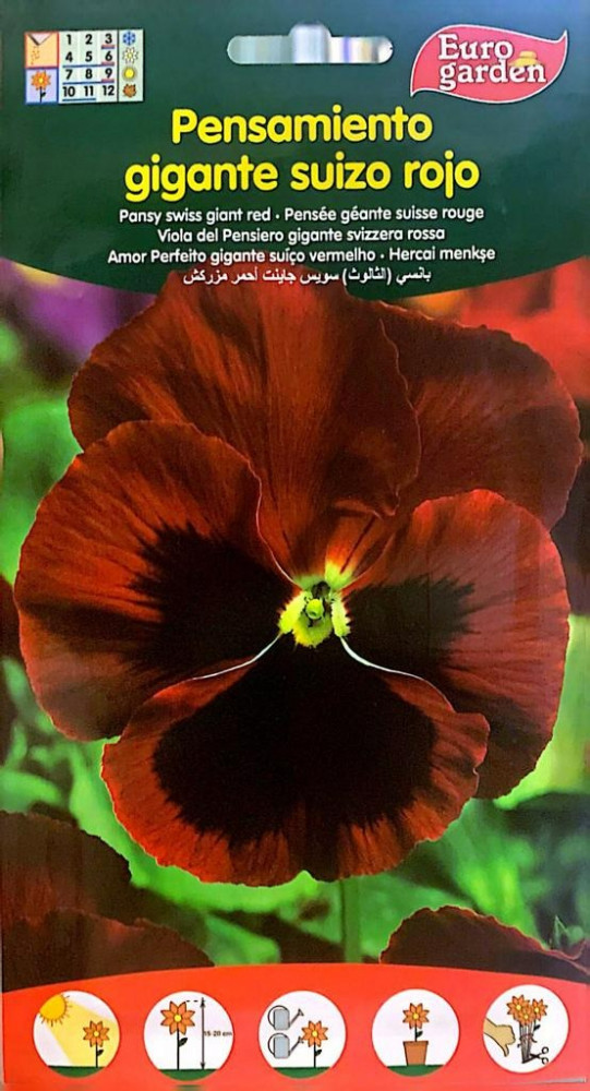 بذور بانسي ( الثالوث ) سويس جاينت أحمر مزركش