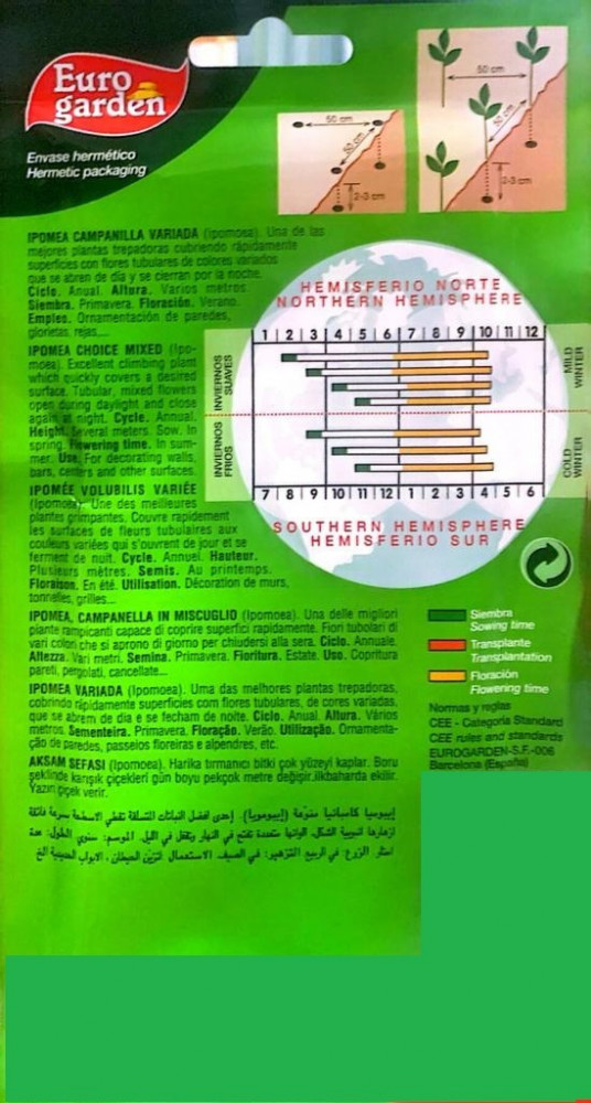 بذور مجد الصباح