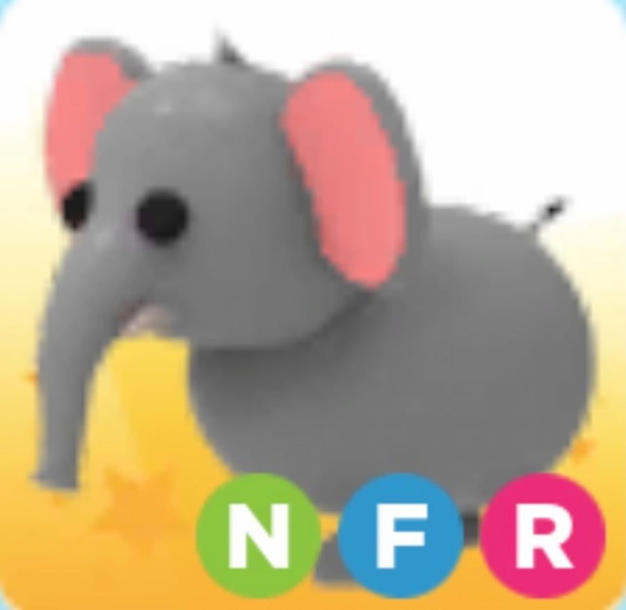 NFR Elephant