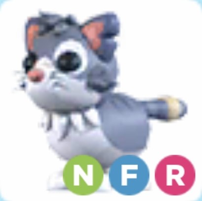 NFR Alley cat