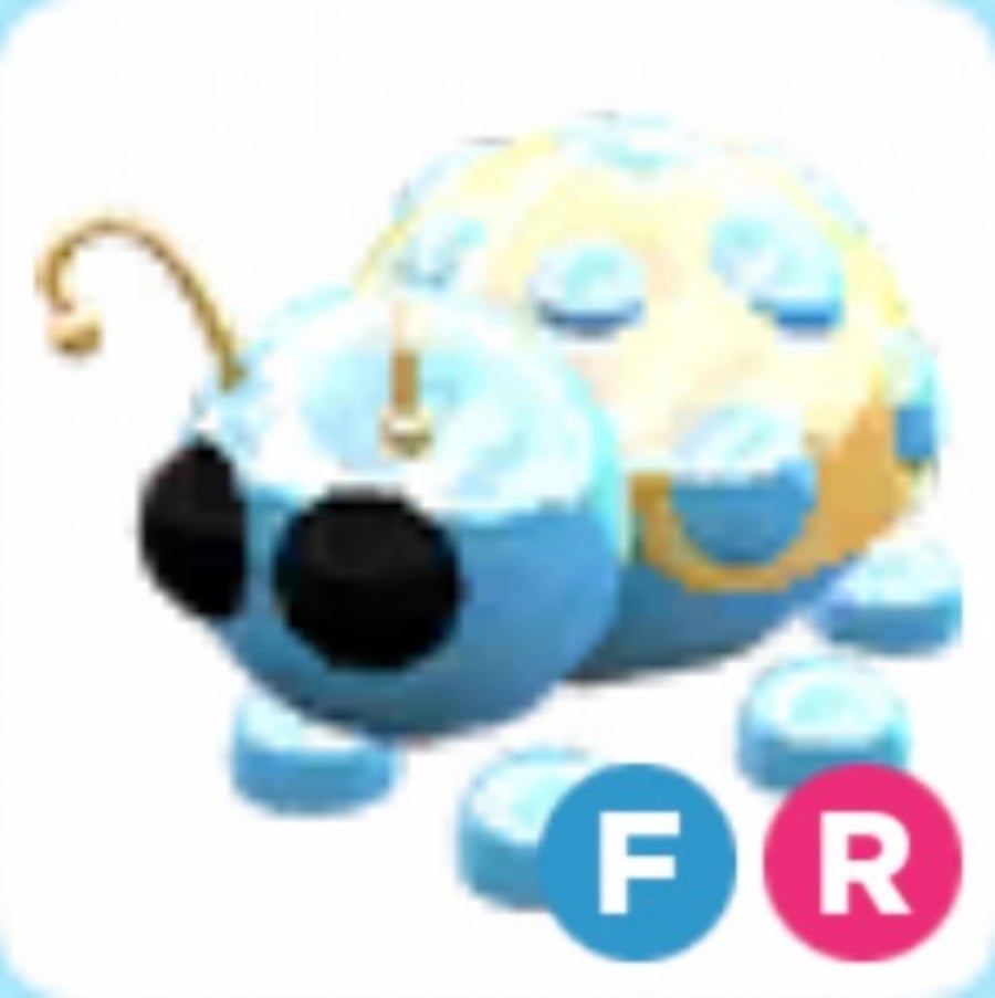 FR Diamond Ladybug