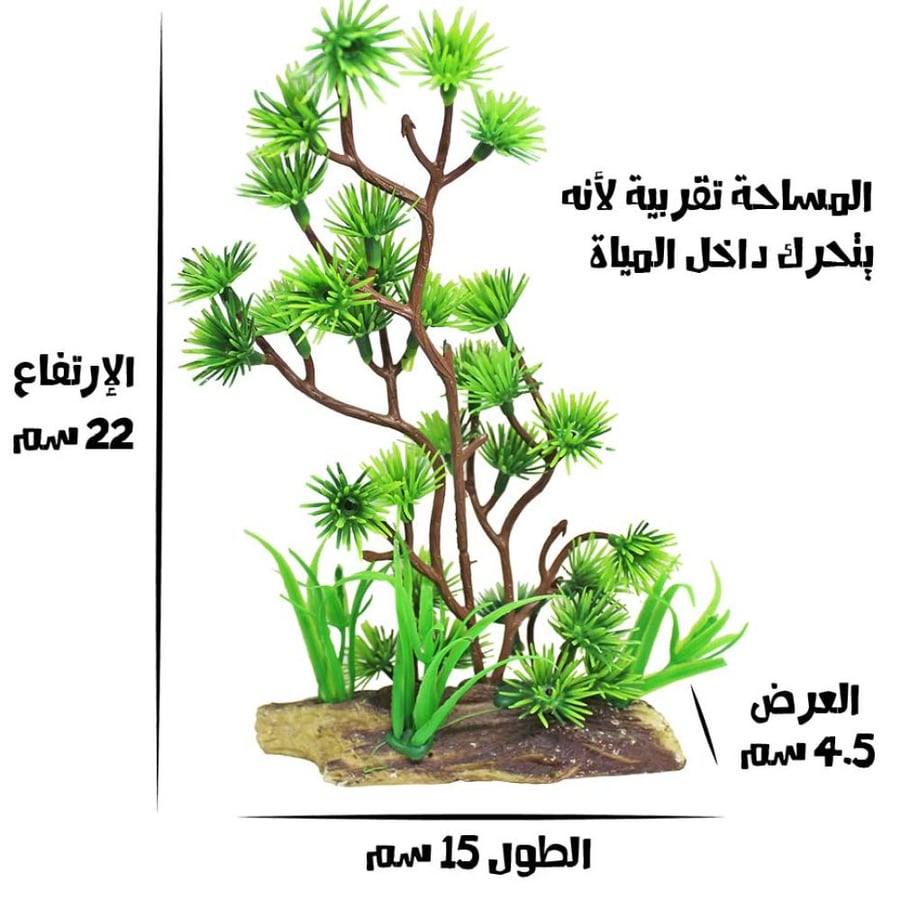 أشجار زينة خضراء لأحواض السمك