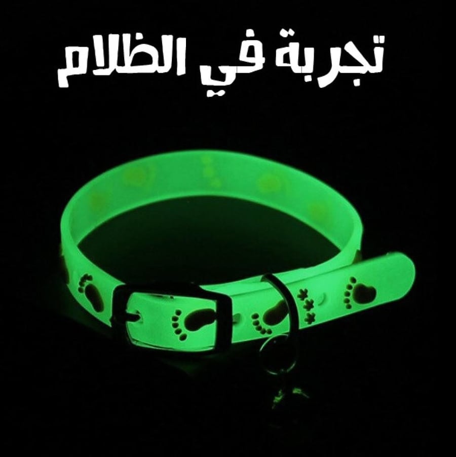 طوق قطط بنمط سمك يلمع في الظلام أخضر