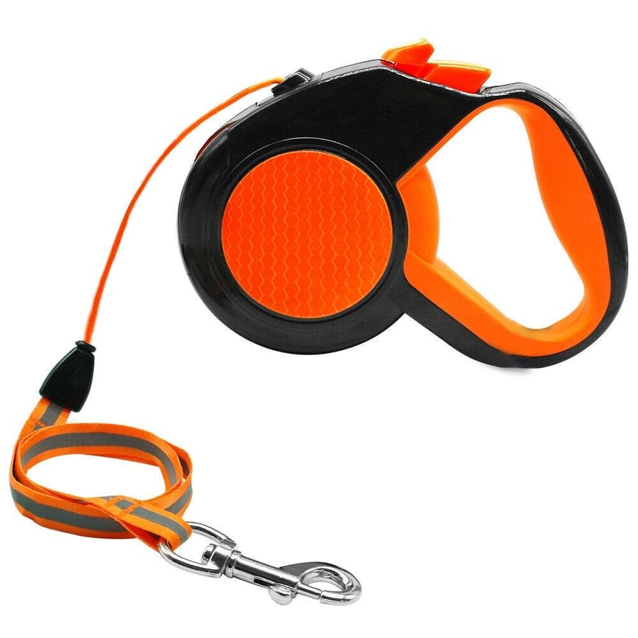 Why do the dogs glow in the dark orange