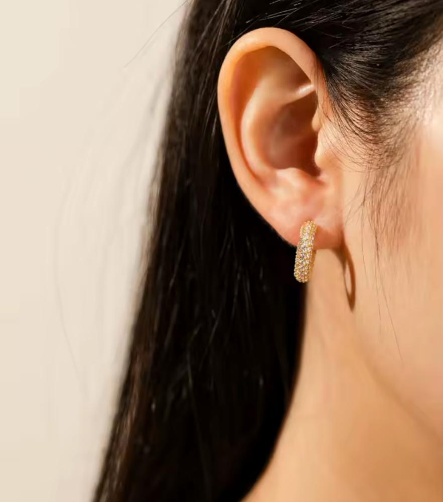 925 silver earrings