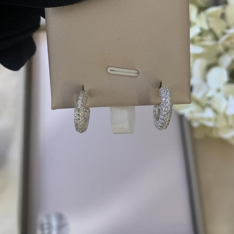 925 silver earrings