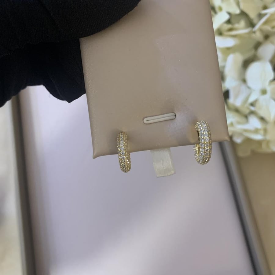 925 silver earrings