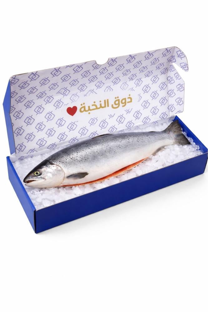 سمكة سالمون نرويجي كاملة