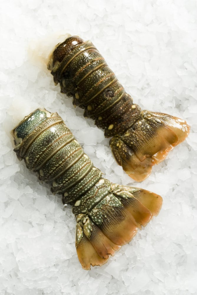 Large Lobster Tail Carton ( 10 Kg )