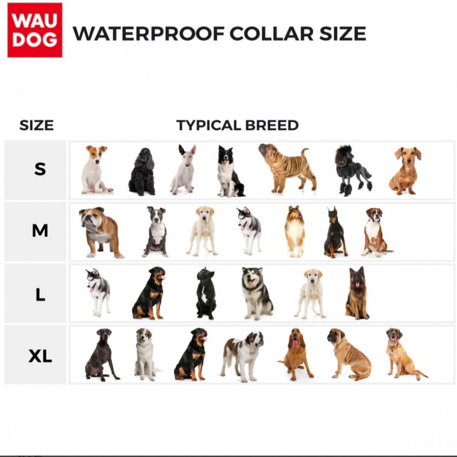 WAU DOG طوق للكلاب مقاوم للماء مع قفل بلاستيكي مقاس L
