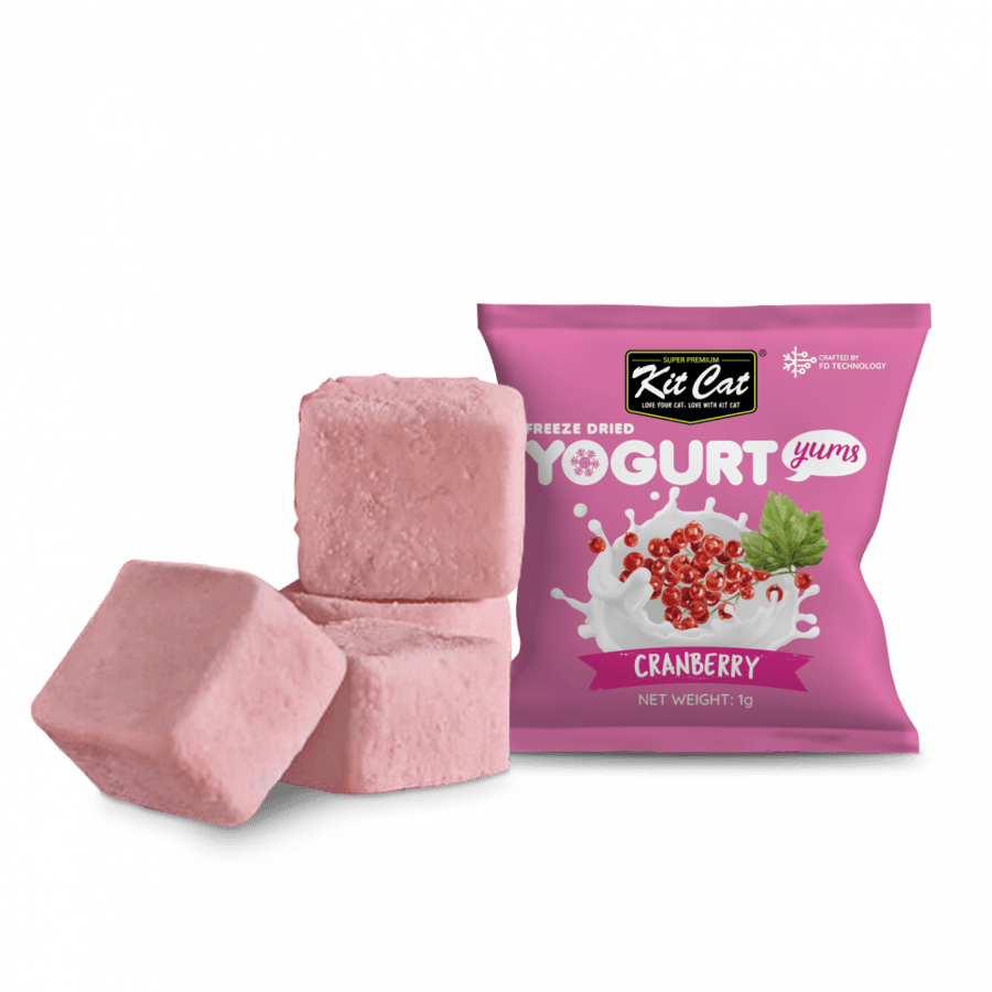 Kit Cat Yogurt مكافأة مجففة للقطط بالتوت البري 10*10 جرام