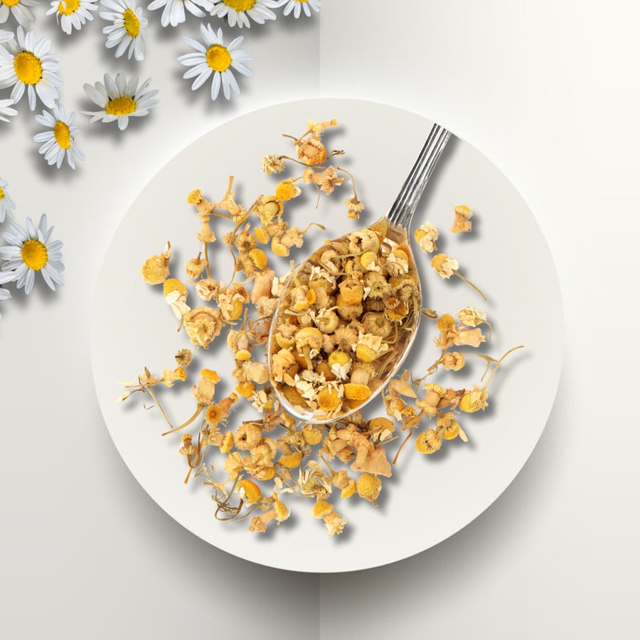 عشبة البابونج هدوء داخلي ونوم هانئ