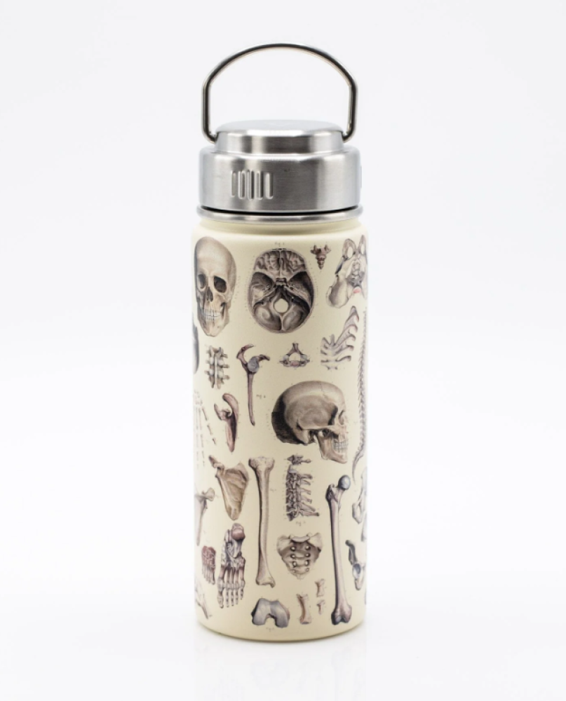 Skeleton Steel Bottle