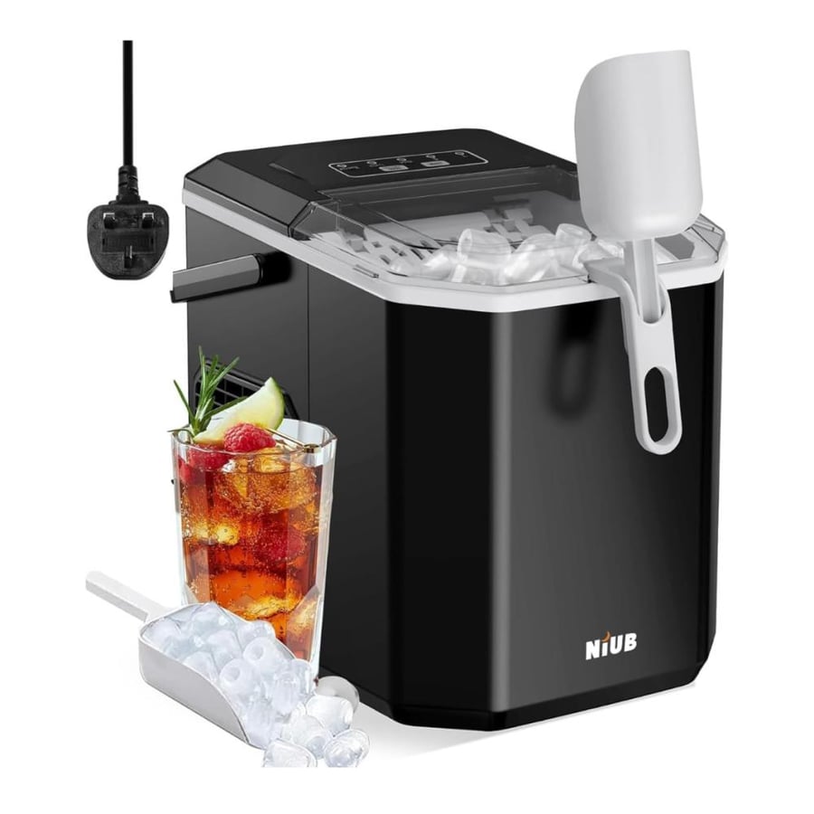 Ice maker