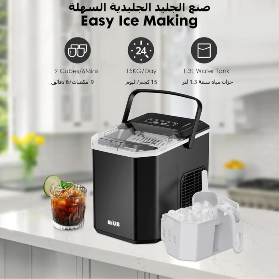 Ice maker