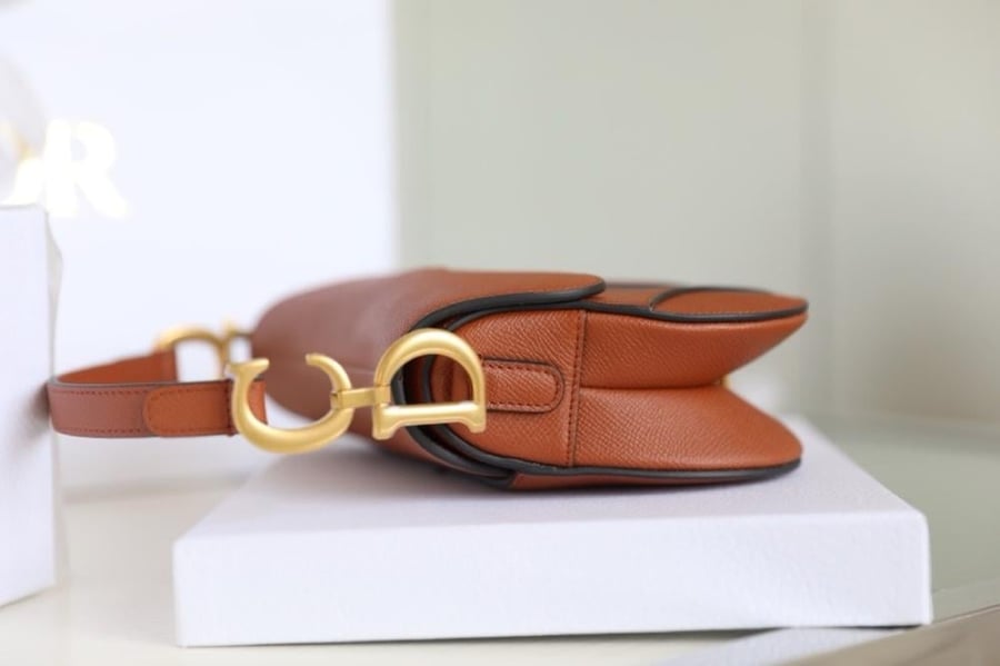 Dior saddle