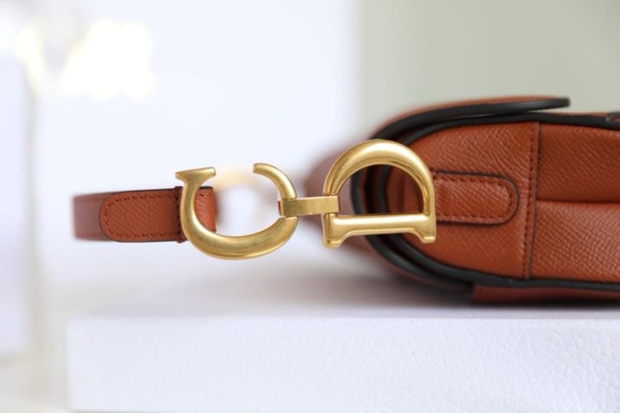 Dior saddle