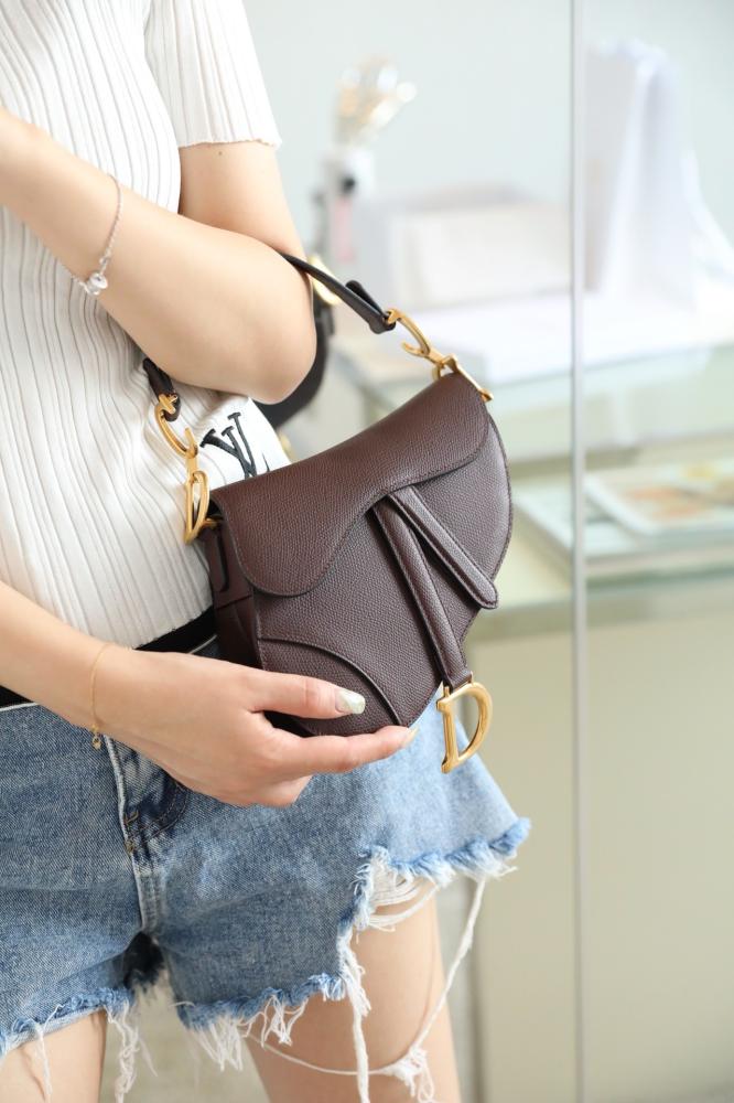 Dior saddle