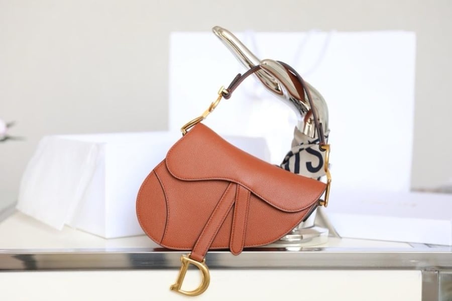 Dior saddle