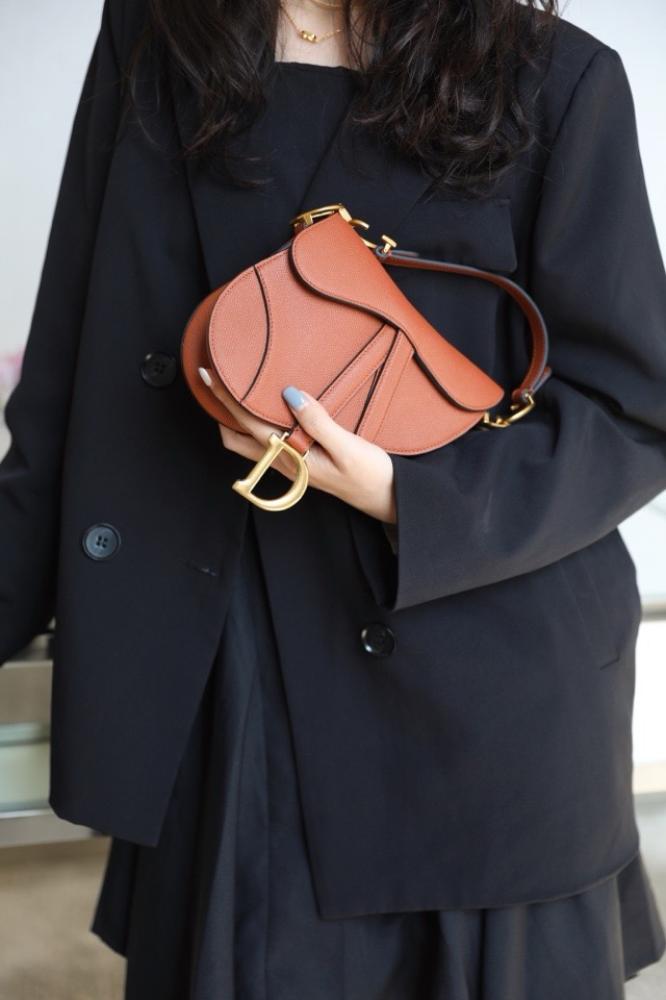 Dior saddle