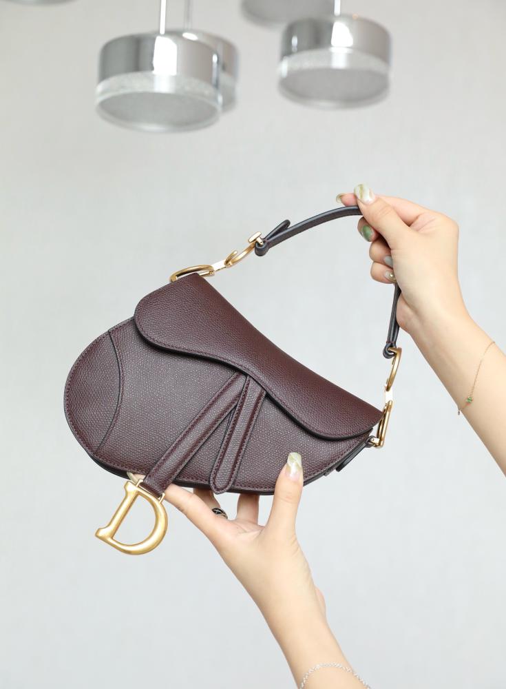 Dior saddle