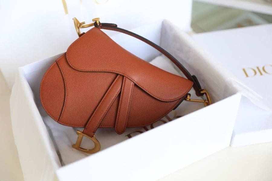 Dior saddle