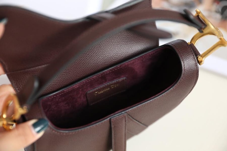 Dior saddle
