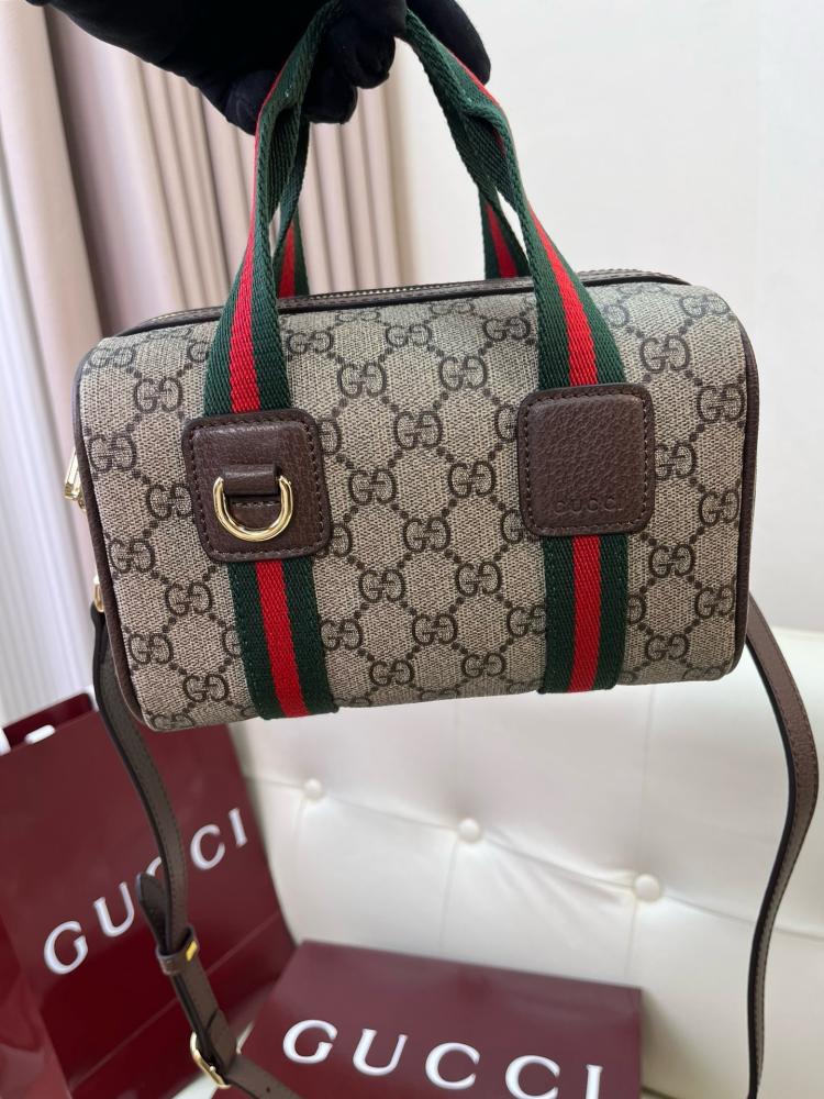 قوتشي ophidia